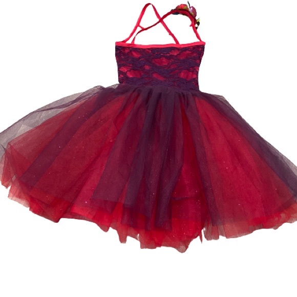 Weissman ballet costume “Bells of Notre Dame” Halloween Day of the Dead Dance - Picture 4 of 11